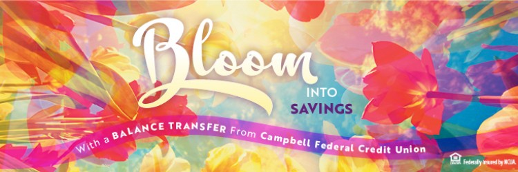 Campbell WG F240385-G-Balance Transfer 750x245